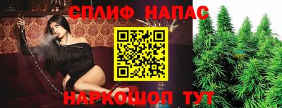 сатива Кандалакша