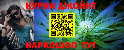 сатива Кандалакша