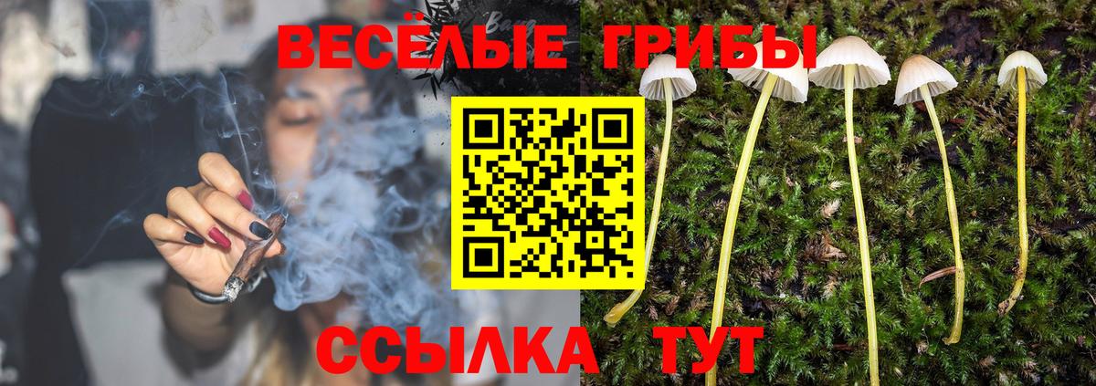 Псилоцибиновые грибы Cubensis  Вход с VPN  Галлюциногенные грибы Psilocybine cubensis  Южно-Сахалинск 