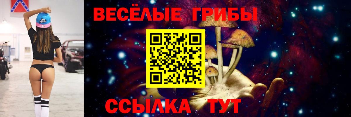 Псилоцибиновые грибы мицелий Южно-Сахалинск